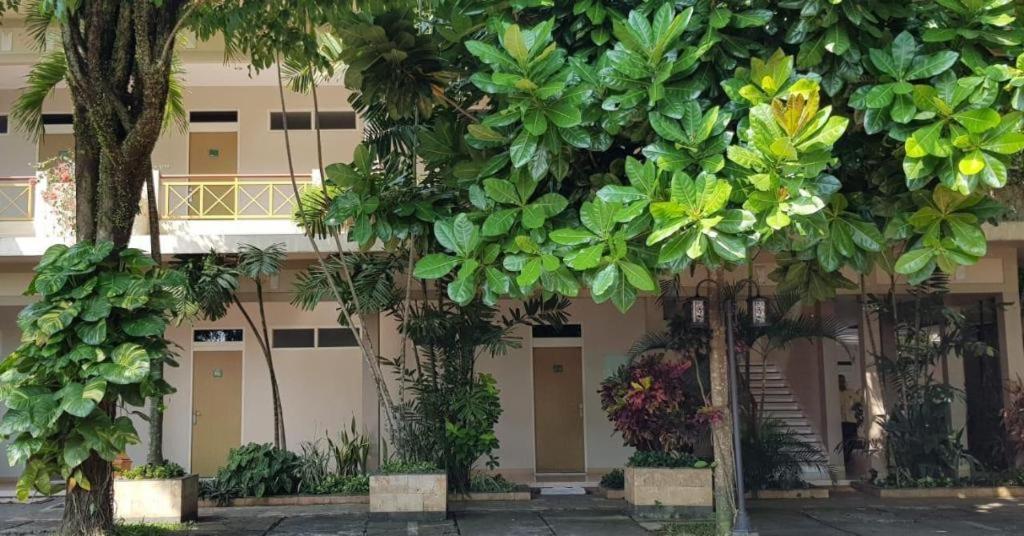 Hotel Sulawesi Джембер Экстерьер фото